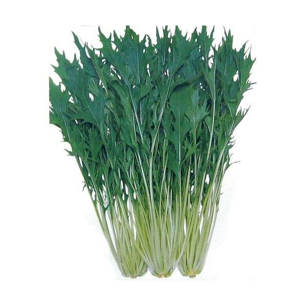 ݂ (؁A؂̎) 2dl ( ؂̎ )