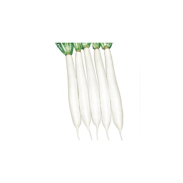 卪̎ z 2dl ( ؂̎ )