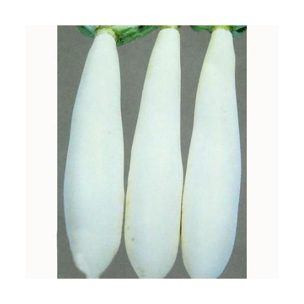 卪̎ ӂ 2dl ( ؂̎ )