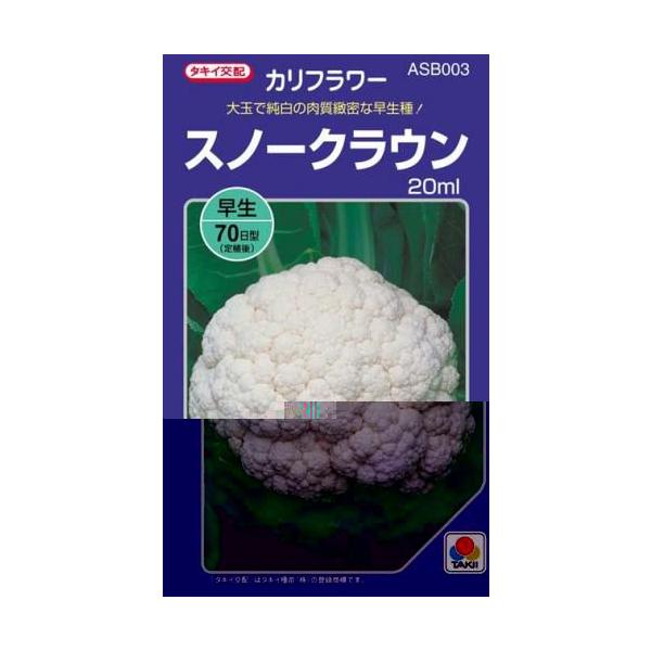 Jt[̎ Xm[NE 20ml ( ؂̎ )