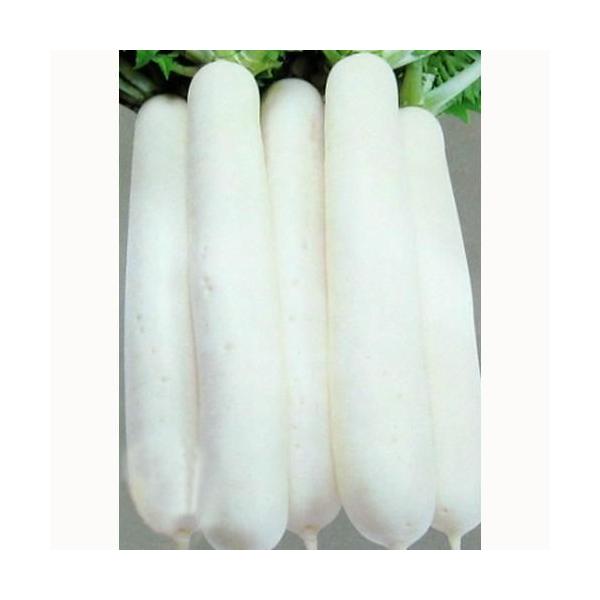 卪̎ ~ǂ呠 2dl ( ؂̎ )