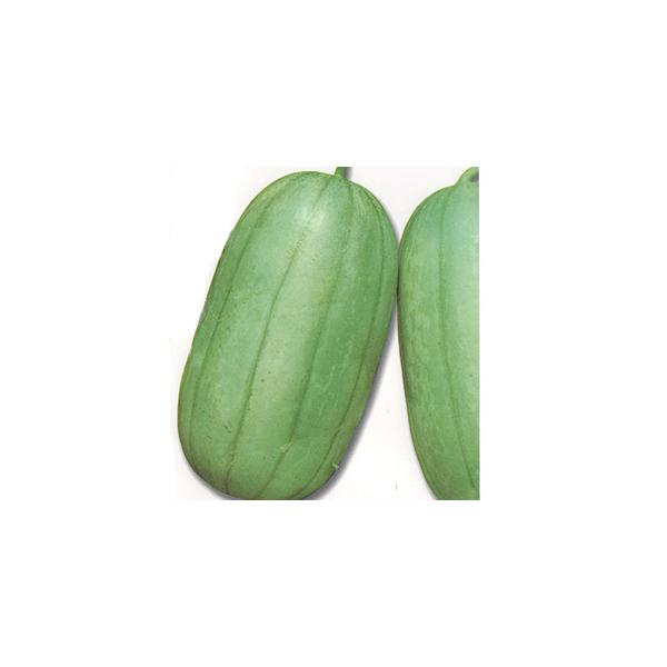 ウリ 種の人気商品 通販 価格比較 価格 Com