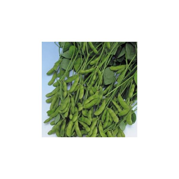 �G�_�}���̎� ���������� ����(PF 80ml)