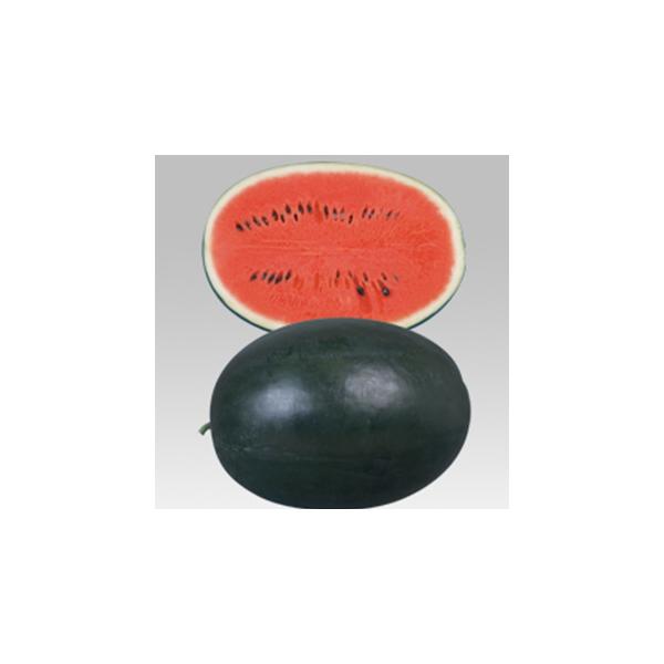 �X�C�J�̎� �s���}�X�^2 ����(DF 13��)