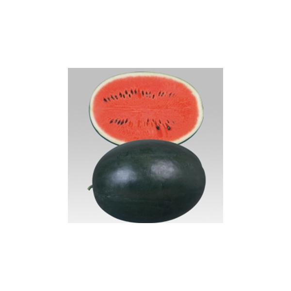 XCJ̎ s}X^2 200 ( ؂̎ )