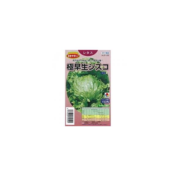 株張りがコンパクトで、密植栽培に適した、市場性の高い玉レタス。耐暑・耐病性にすぐれ、抽苔は比較的に遅く、栽培しやすい。球重は300g位。色は鮮緑色で内部までよく着色し、葉肉は厚く、日もちにすぐれる。熟期は、適期栽培では播種後60日程度で収穫...