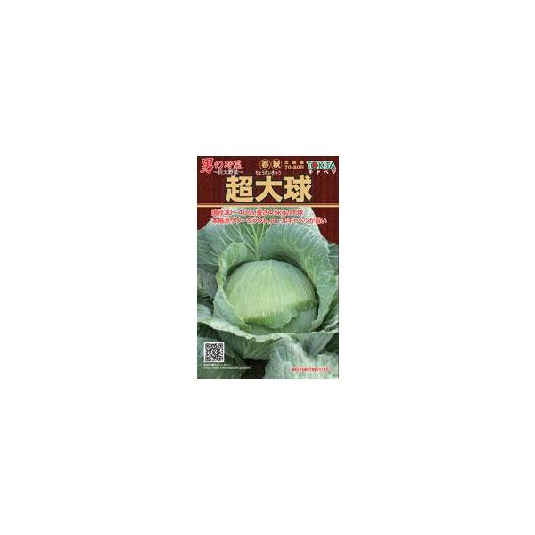 Lxc̎ gL^̒j̖؃V[Y勅  1ml ( ؂̎ )