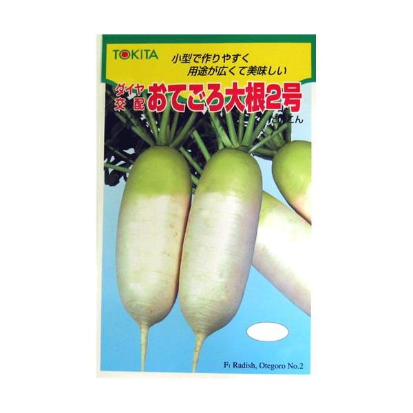 卪̎ Ă卪2 2dL ( ؂̎ )