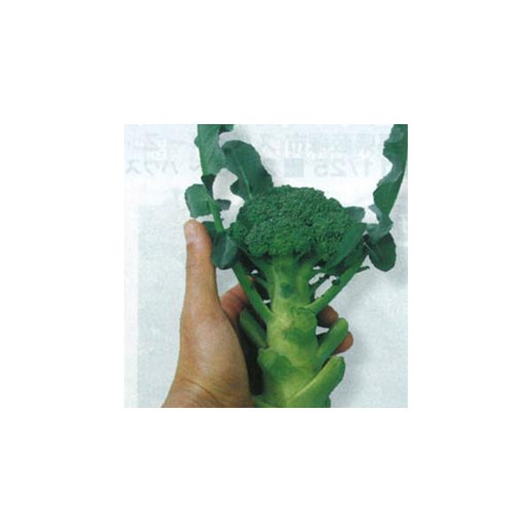 ubR[̎ ~jbR[ 20ml ( ؂̎ )