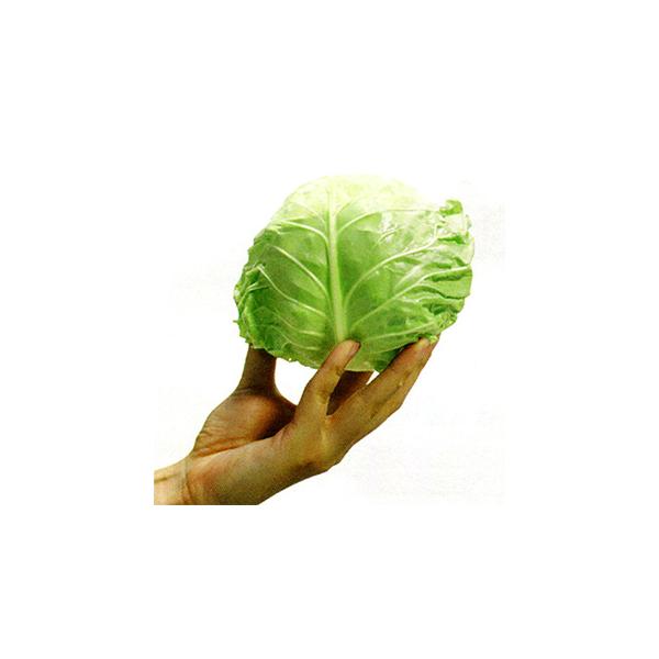 Lxc̎ ~jLx 20ml ( ؂̎ )