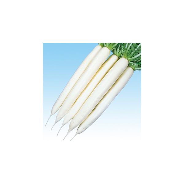 卪̎ Ă݂̑ 2dl ( ؂̎ )