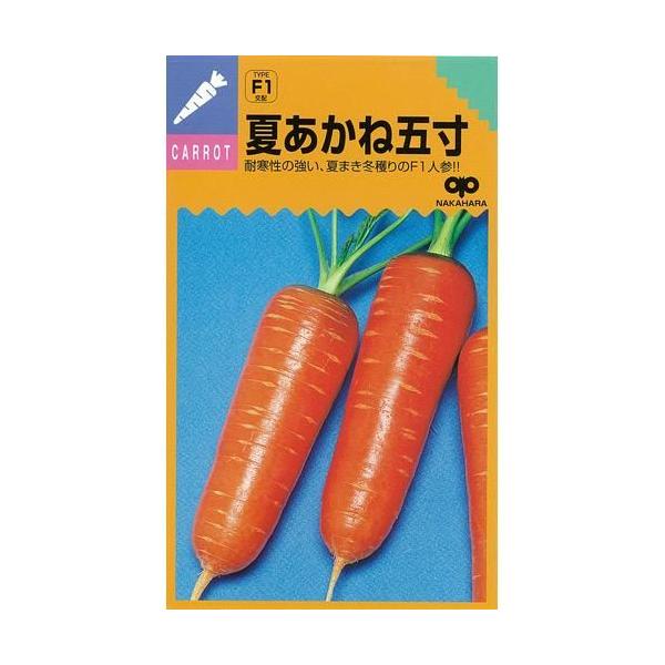 lQ̎ Ă  20ml ( ؂̎ )