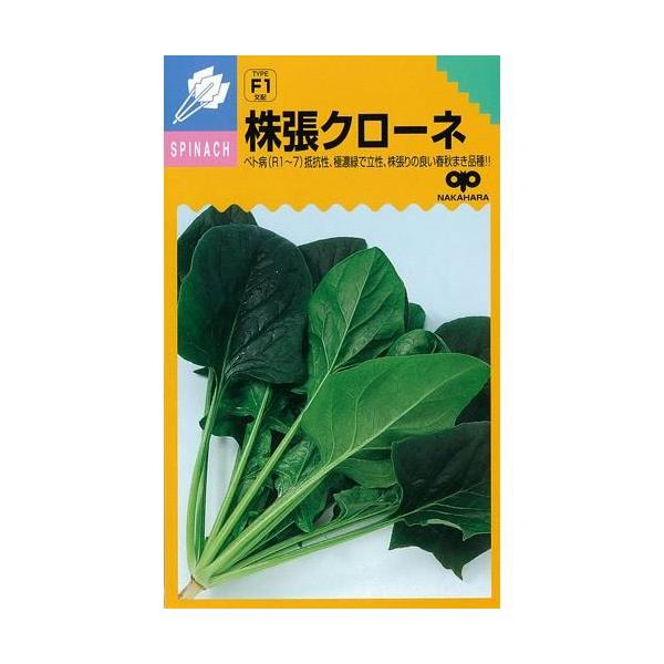 ق񑐂̎ N[l AbvV[hM3 ( ؂̎ )