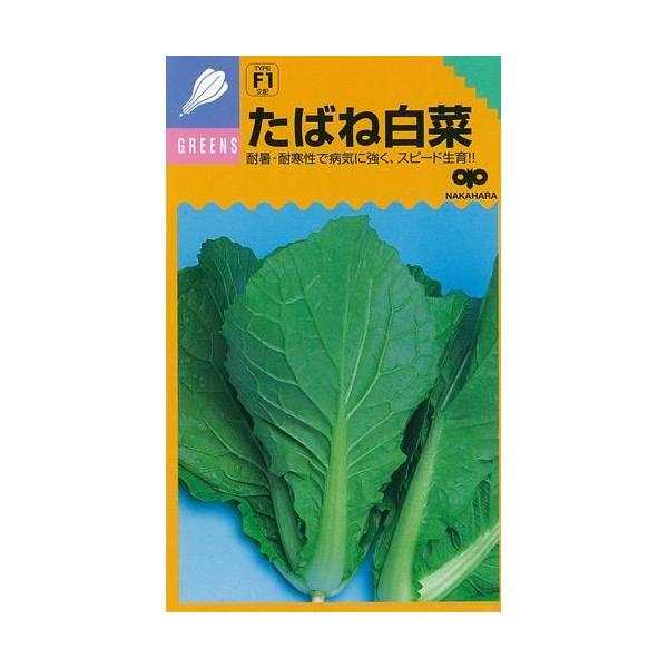 ΂˔ (؂̎)  20ml ( ؂̎ )