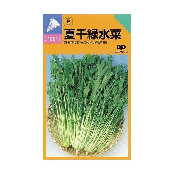 Đΐ (؁A؂̎) 5痱R[gL ( ؂̎ )