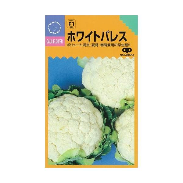 Jt[̎ zCgpX  1ml ( ؂̎ )