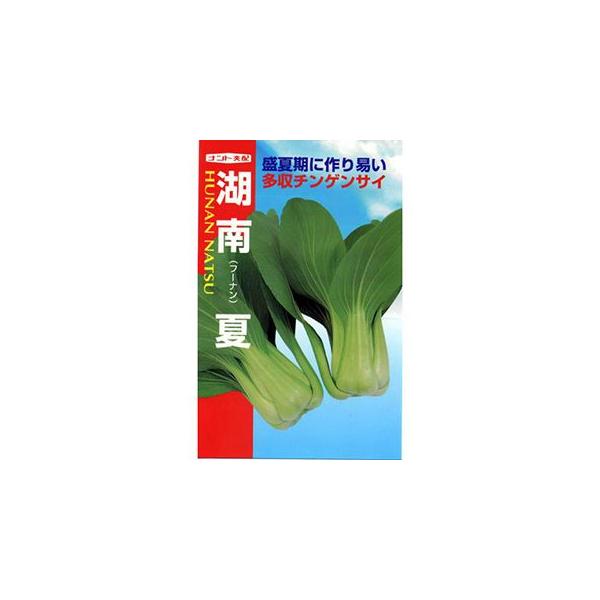 `QTC̎ ܁iRj Γ  񂰂  ( ؂̎ )