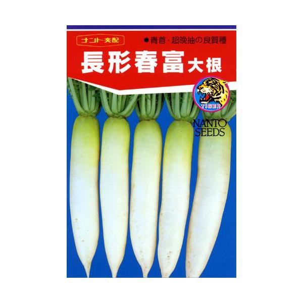 卪̎ `tx  2ml ( ؂̎ )