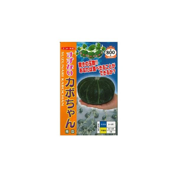 J{`̎ ȂJ{ 6 ( ؂̎ )