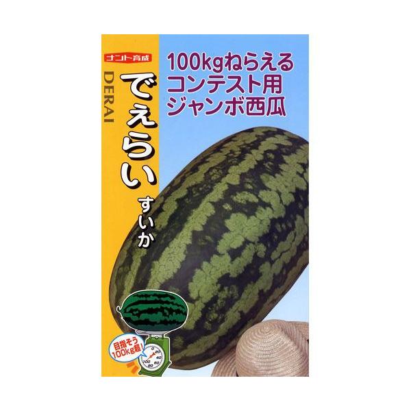 saien-club_5138920