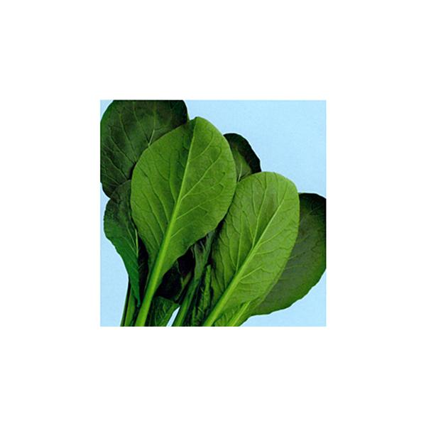 ]˂̕ (؂̎) 2dl ( ؂̎ )