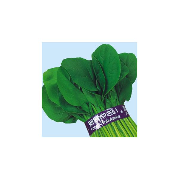 ]˂̏ (؂̎) 2dl ( ؂̎ )