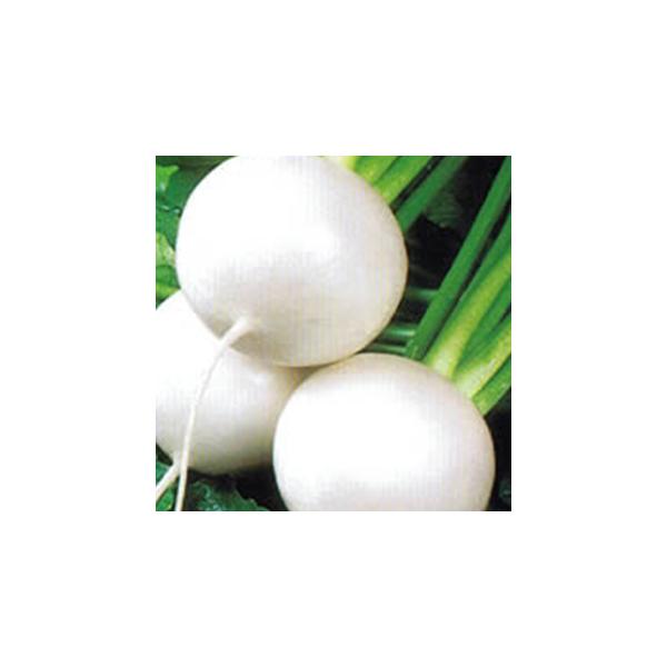 Ju̎ ̂ 2dl ( ؂̎ )