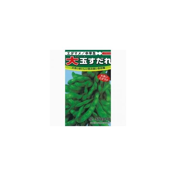玉すだれ (枝豆の種) 小袋 約1dl ( 野菜の種 ) : 菜園くらぶ Yahoo!店