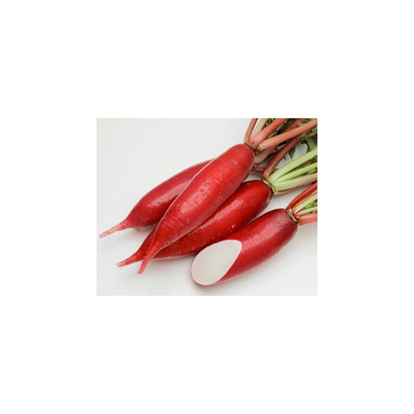 卪̎ g 2dl ( ؂̎ )