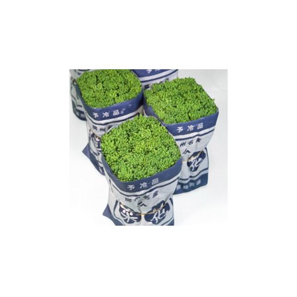 菜の花 種の人気商品 通販 価格比較 価格 Com