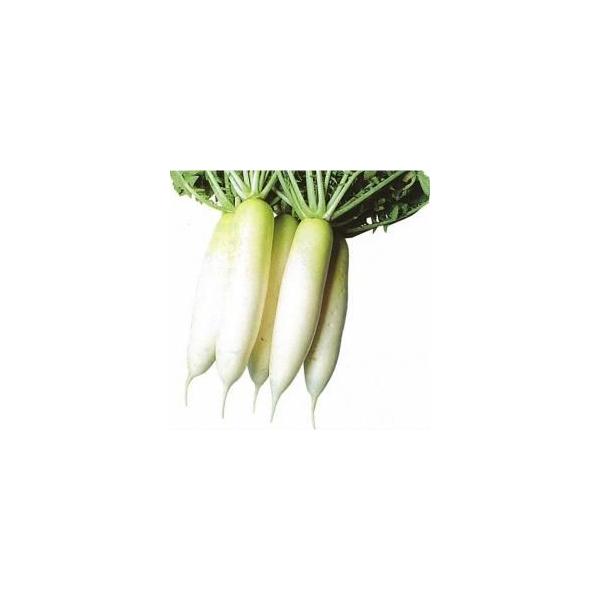 卪̎ đ 2dl ( ؂̎ )