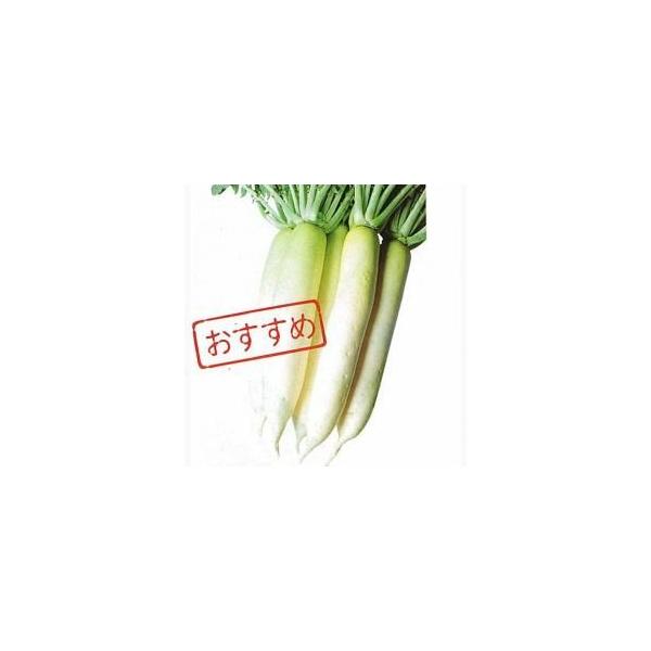 卪̎ Җ] 2dl ( ؂̎ )