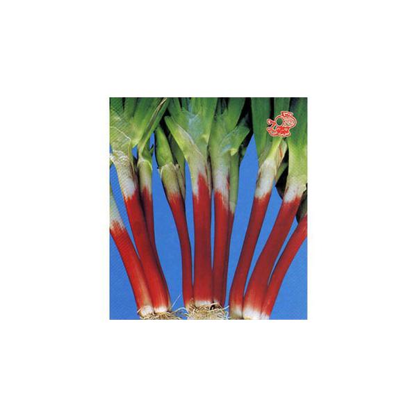 lM̎ ԍ˂  1dl ( ؂̎ )