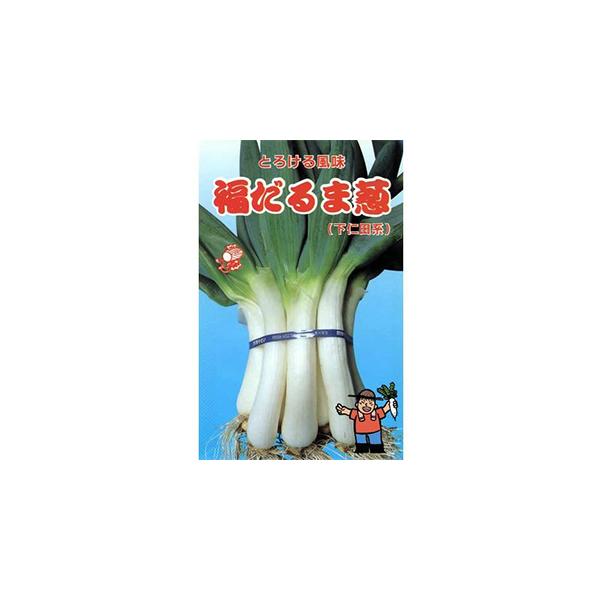 lM̎ ܔK  1dl ( ؂̎ )