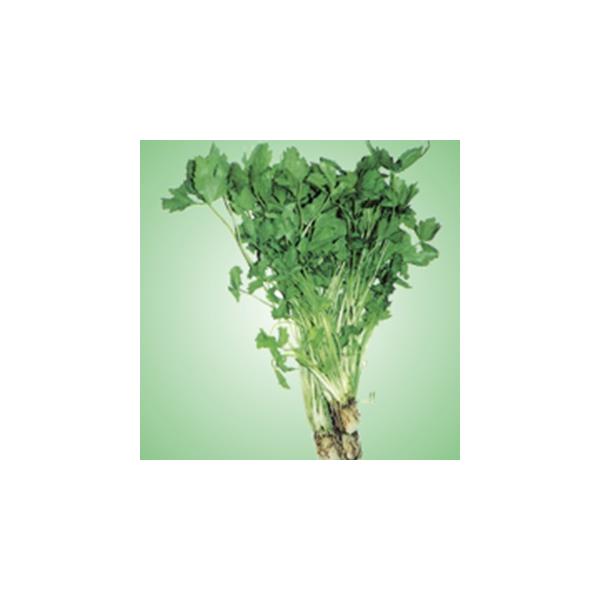 ~co (Ot̎) 50ml ( ؂̎ )