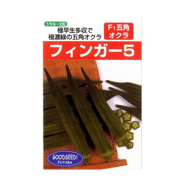 IN̎ tBK[5 10ml ( ؂̎ )