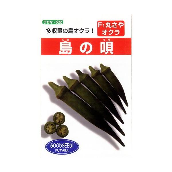 IN̎ ̉S 10ml ( ؂̎ )