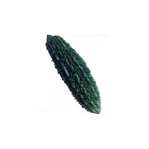 jKEAS[̎ ꂠ΂S[[ 1L ( ؂̎ )