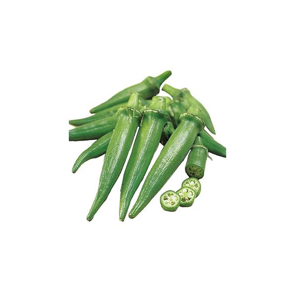 IN̎ ̉S 1dl ( ؂̎ )