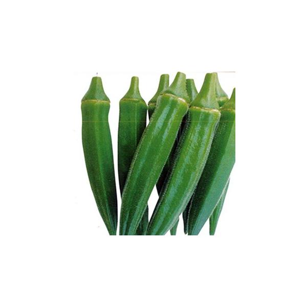 IN̎ tBK[T 1L ( ؂̎ )