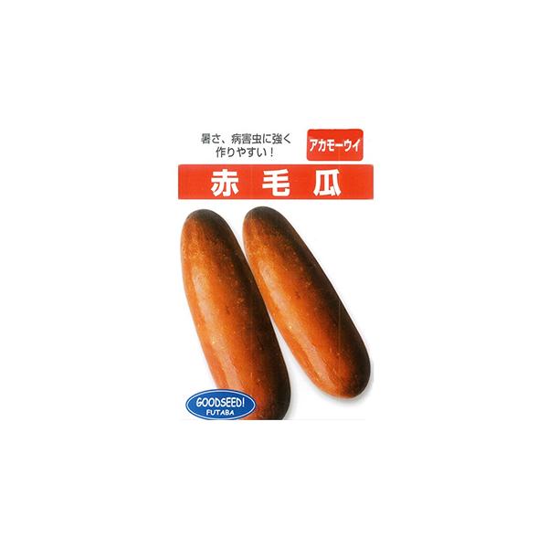 ԖщZ (E̎) 1dl ( ؂̎ )