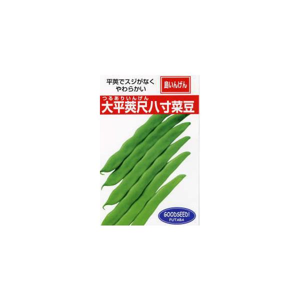 邠CQ̎ ꓇CQ 啽䰎ڔؓi邠j 1dl ( ؂̎ )