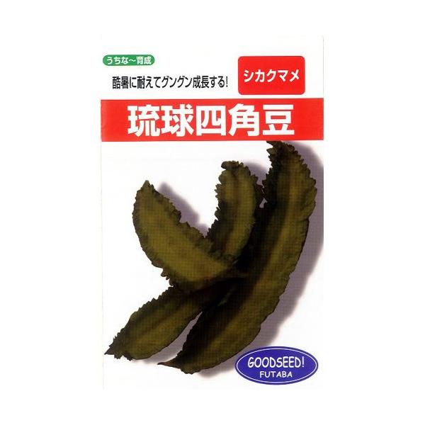 G lp 肸 ( ܂߂̎ )  20ml ƒ؉ K[fjOɂ߂ ؎ ( ؂̎ )