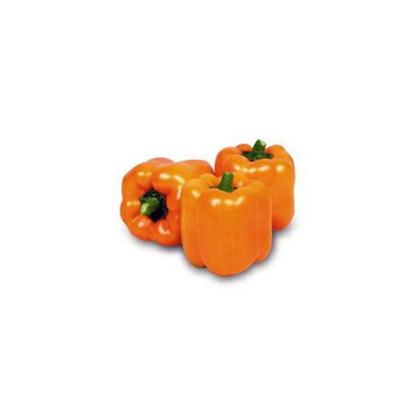 pvJ̎ J[s[}  IW ipvJj 10ml ( ؂̎ )