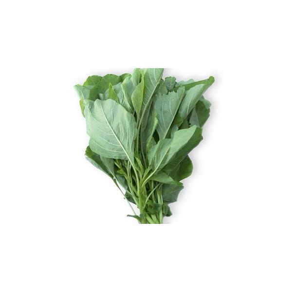 낱 (̑tؗނ̎) 1L ( ؂̎ )