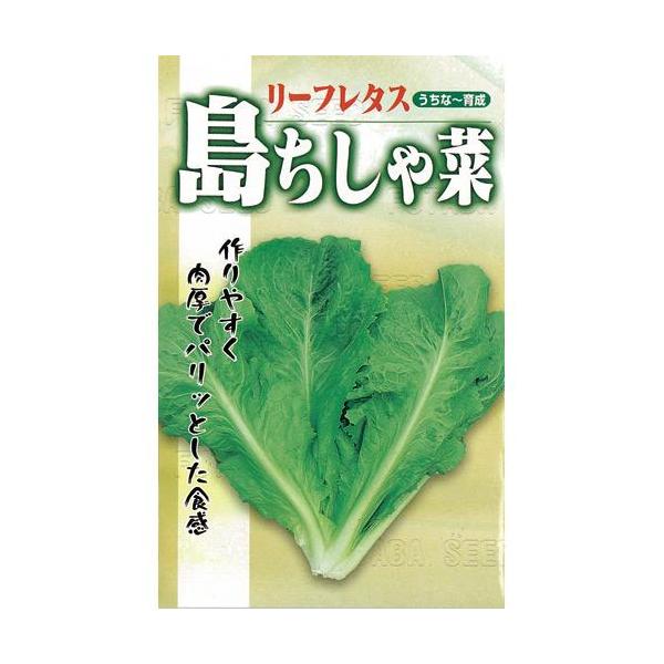 ꓇ (̑tؗނ̎)  20ml ( ؂̎ )