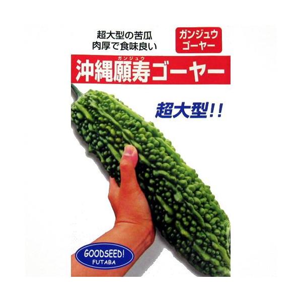 jKEAS[̎ S[[ 10ml ( ؂̎ )