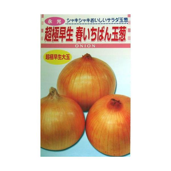 玉ねぎの種 春いちばん玉葱 4ml ( 野菜の種 )