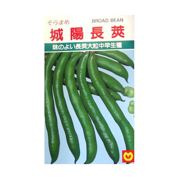 z䰃\} (\}̎)  30ml ( ؂̎ )