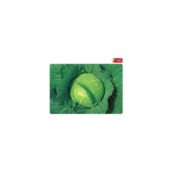 Lxc̎ YRǂяH 20ml ( ؂̎ )